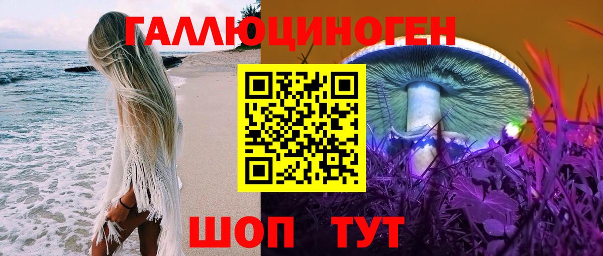Псилоцибиновые грибы мухоморы Артёмовский