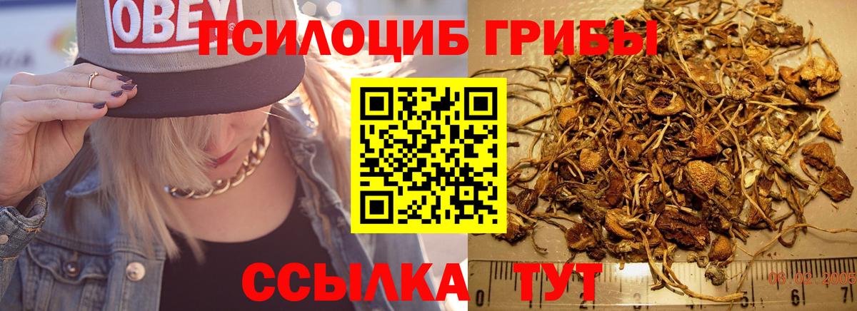 Артёмовский  Галлюциногенные грибы ЛСД  Галлюциногенные грибы Psilocybe  Вход с VPN 